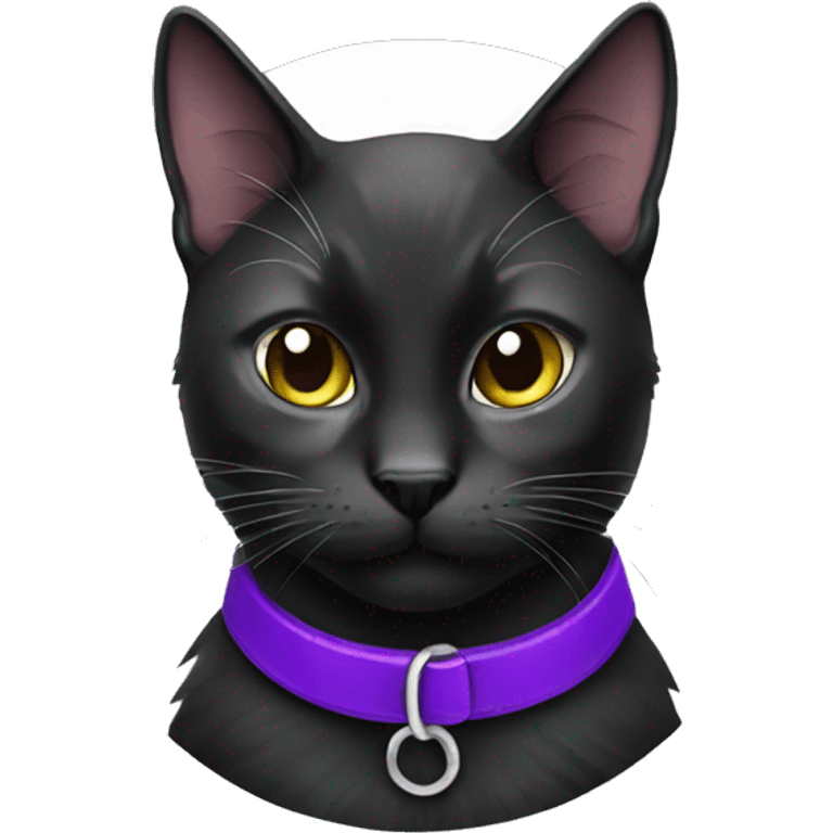 Black cat purple collar  emoji