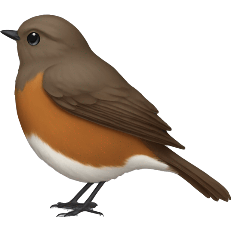 brown jacky winter robin emoji