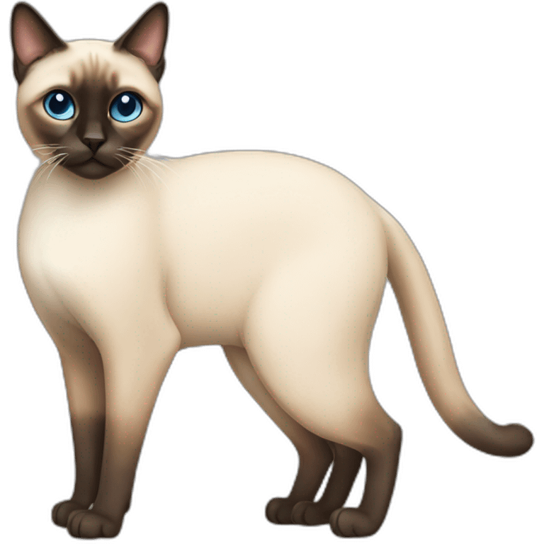 Full Body Siamese Cat emoji