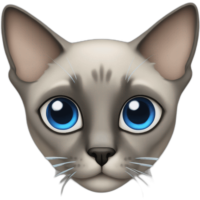 Grey siamese cat with blue crosseyed eyes  emoji