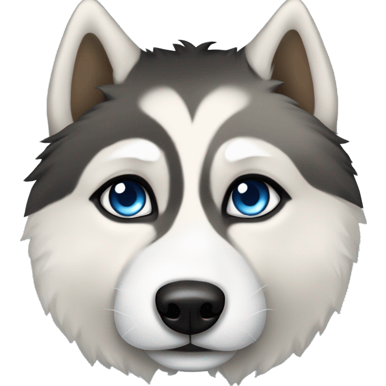 The face of a black, white, and tan Fluffy Siberian husky with blue eyes. Tan above the eyes and on the side of the face. White around the nose and up between the eyes. Black surrounding the areas emoji