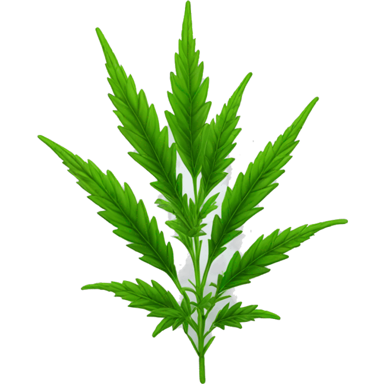 Sativa plant  emoji