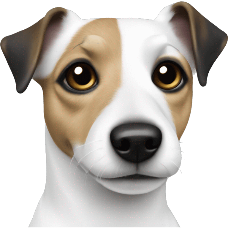 solid white jack russell with solid black eyes  emoji