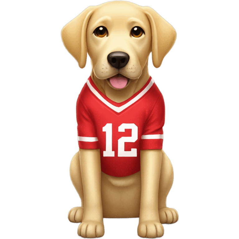 Yellow lab wearing a Nebraska football sweater emoji