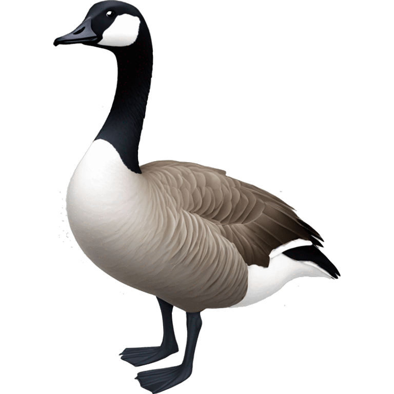 Canada goose emoji