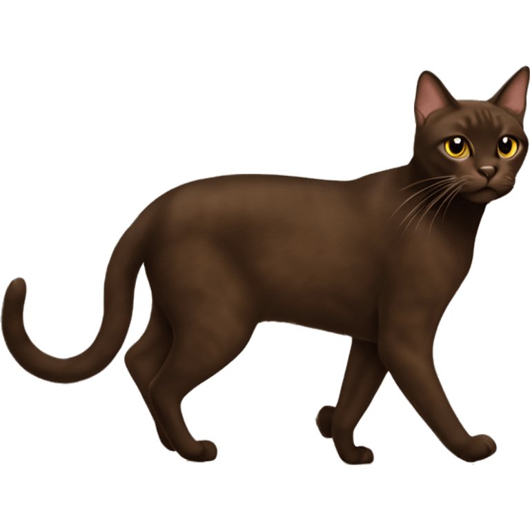 Havana brown cat walking  emoji