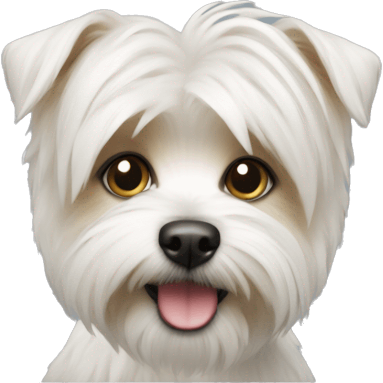 White morkie emoji