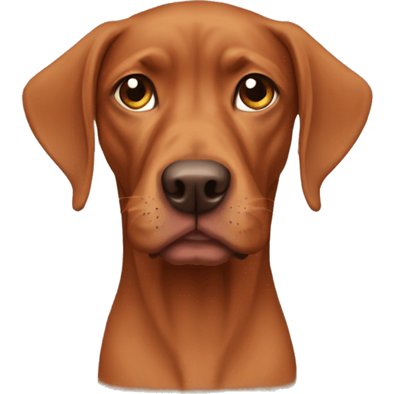 Vizla  emoji