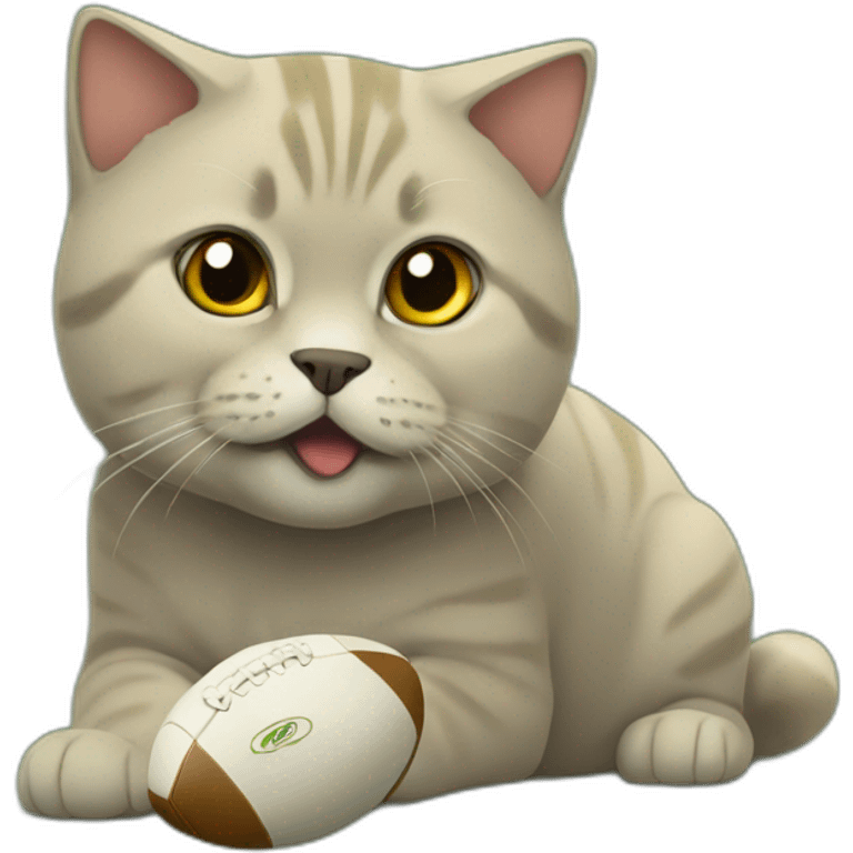 golden british shorthair playing rugby emoji