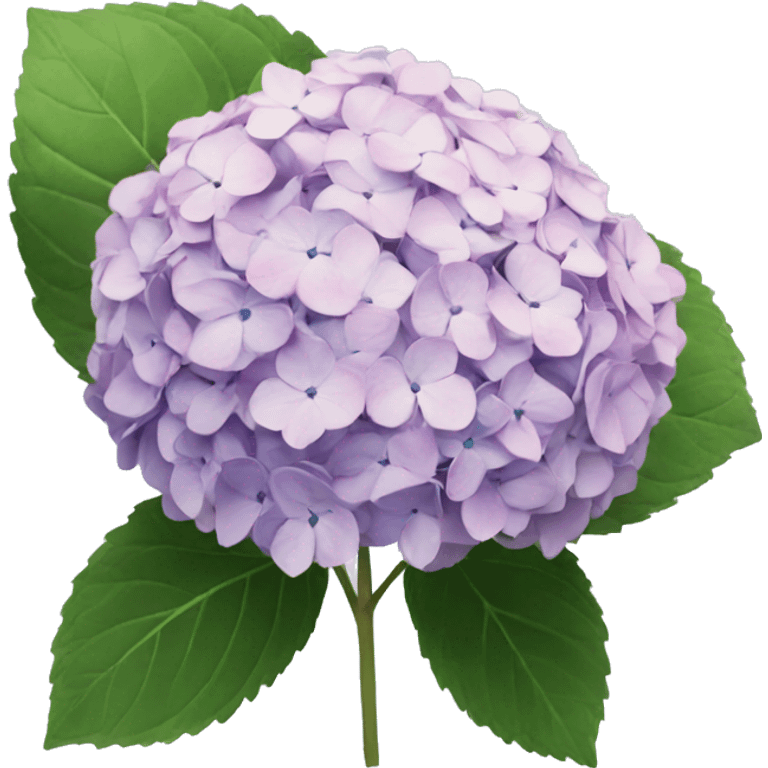 Hydrangea emoji