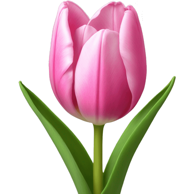 pink tulip emoji