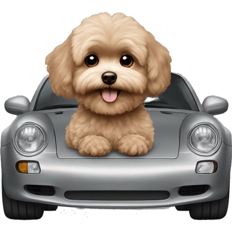 Brown Maltipoo in a grey Porsche  emoji