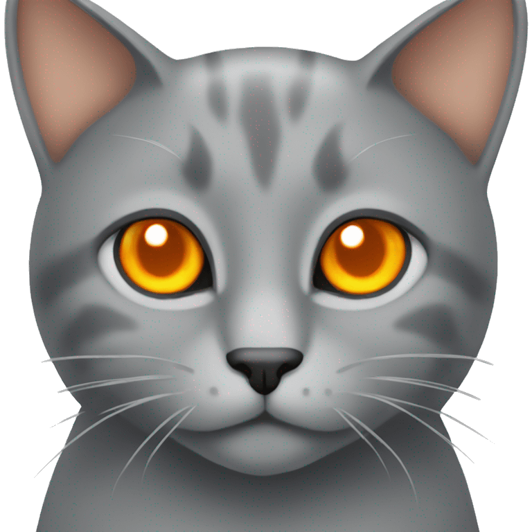 grey cat with orange eyes  emoji