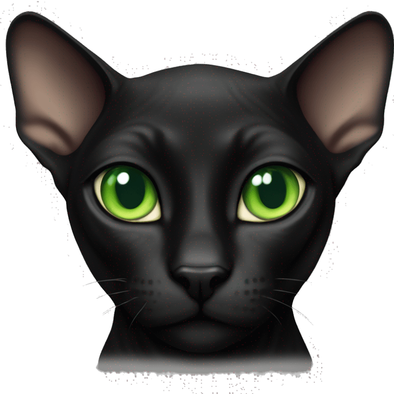 Black Sphinx cat with green eyes  emoji