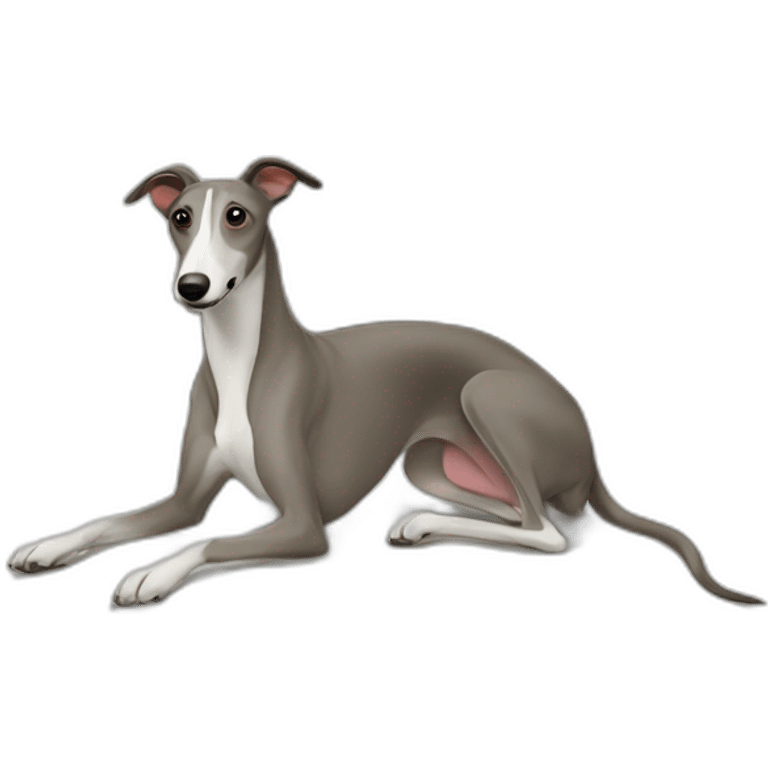 greyhound-sliding-off-bed emoji