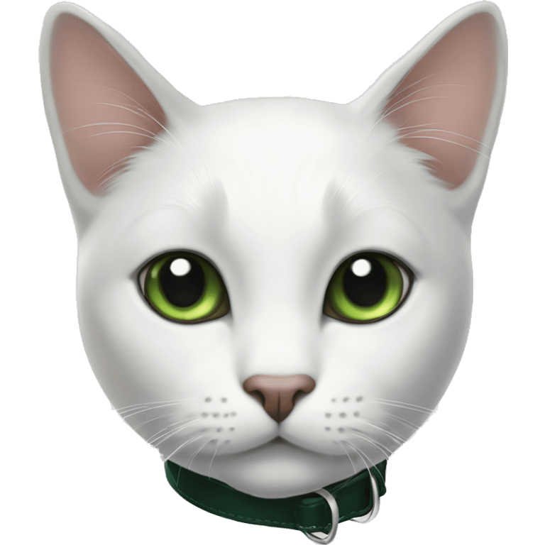 white cat with black spot next to his right ear, black tail and black spot in his back and dark green collar emoji