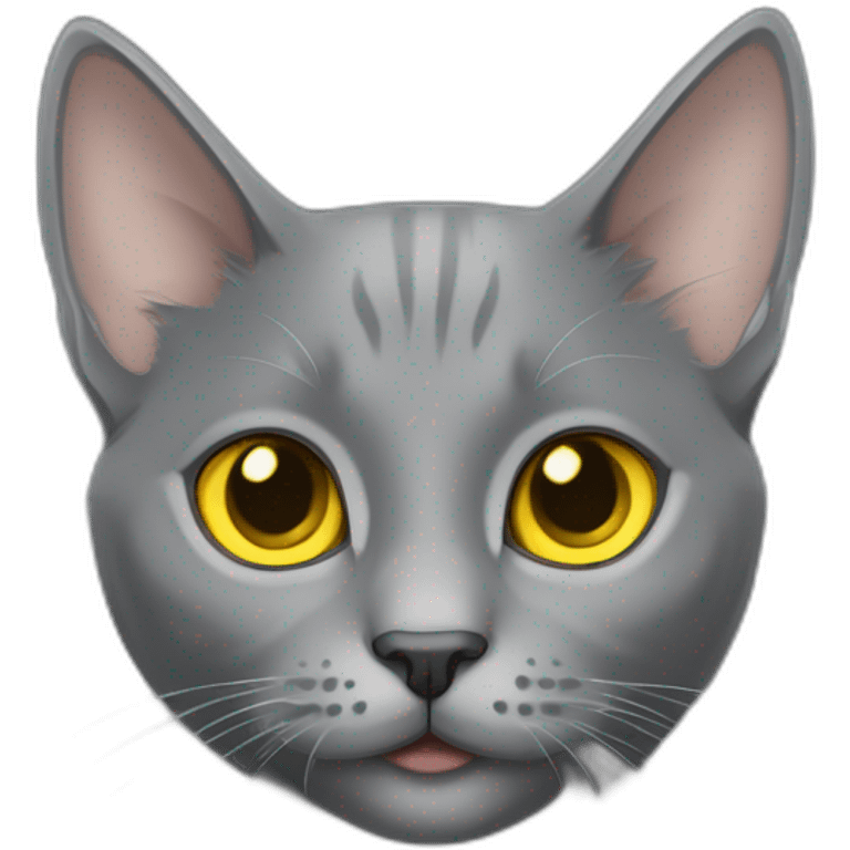 cuddly fluffy grey korat breed cat with yellow eyes black pupils, walking and playing female emoji