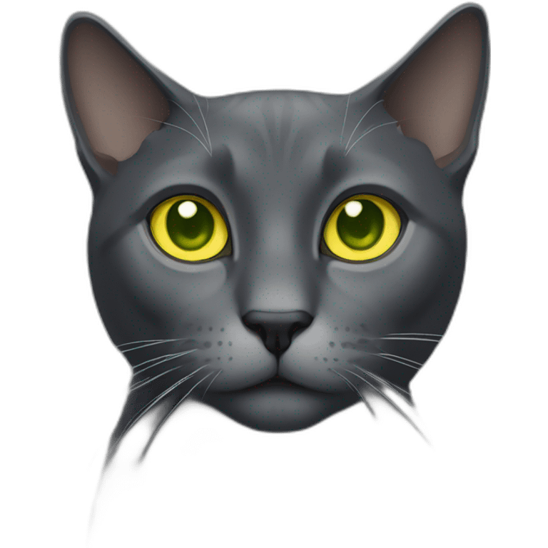 Dark gray cat with yellow-green eyes and white point on neck emoji