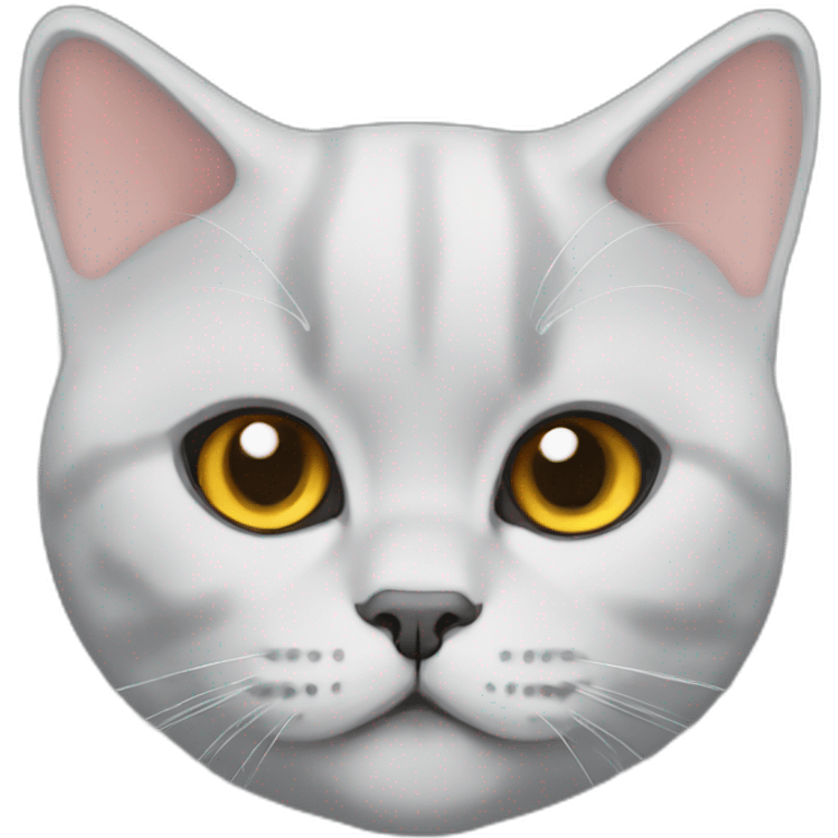 british-shorthair emoji