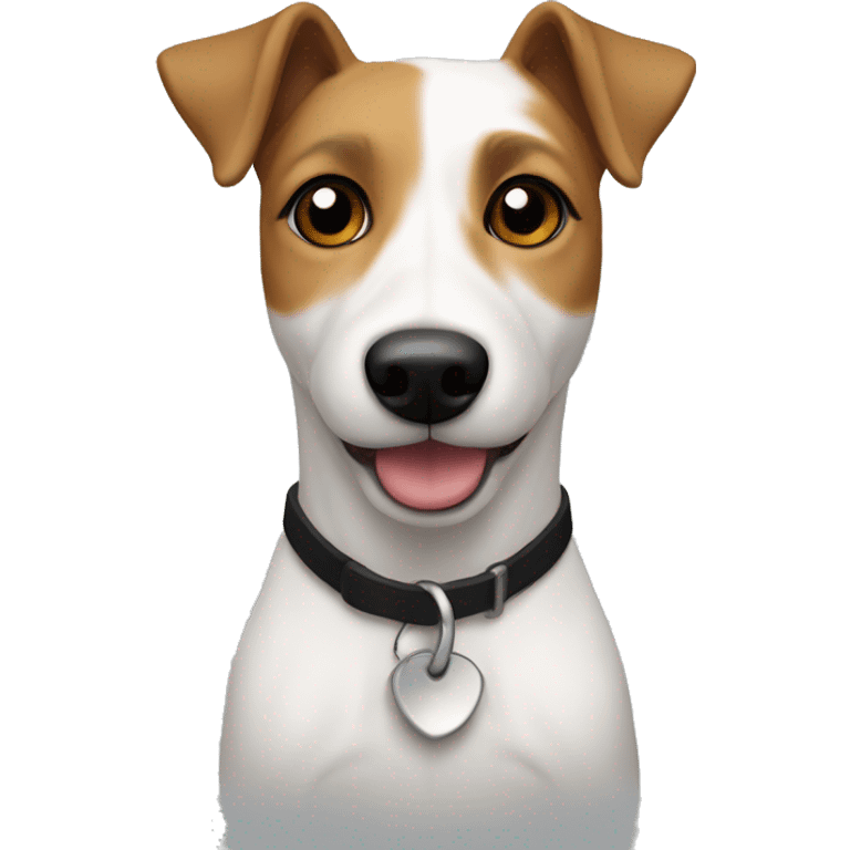 Jack russel cross terrier dog, white body with Black and Tan head  emoji