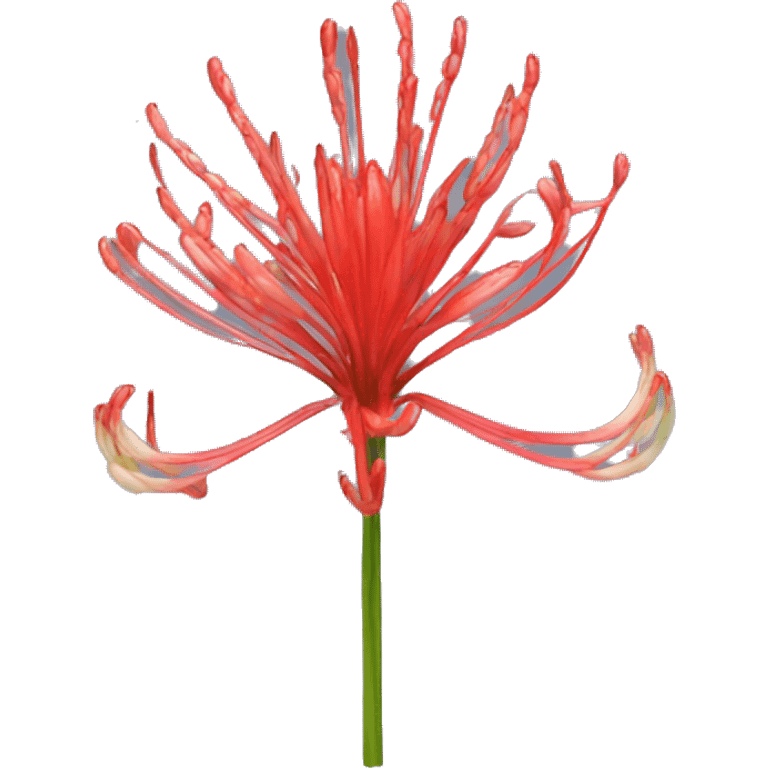 Lycoris emoji