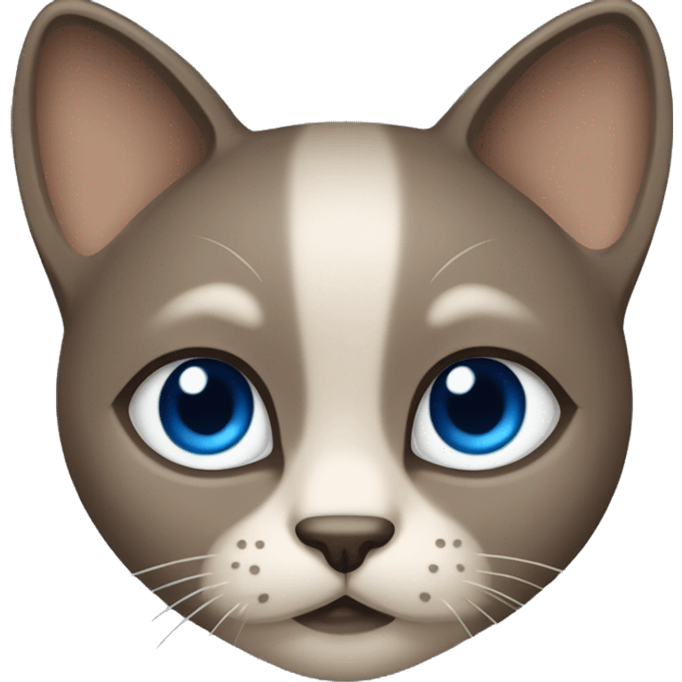 Dark Brown face - beige body and ears female siamise cat with blue eyes  emoji