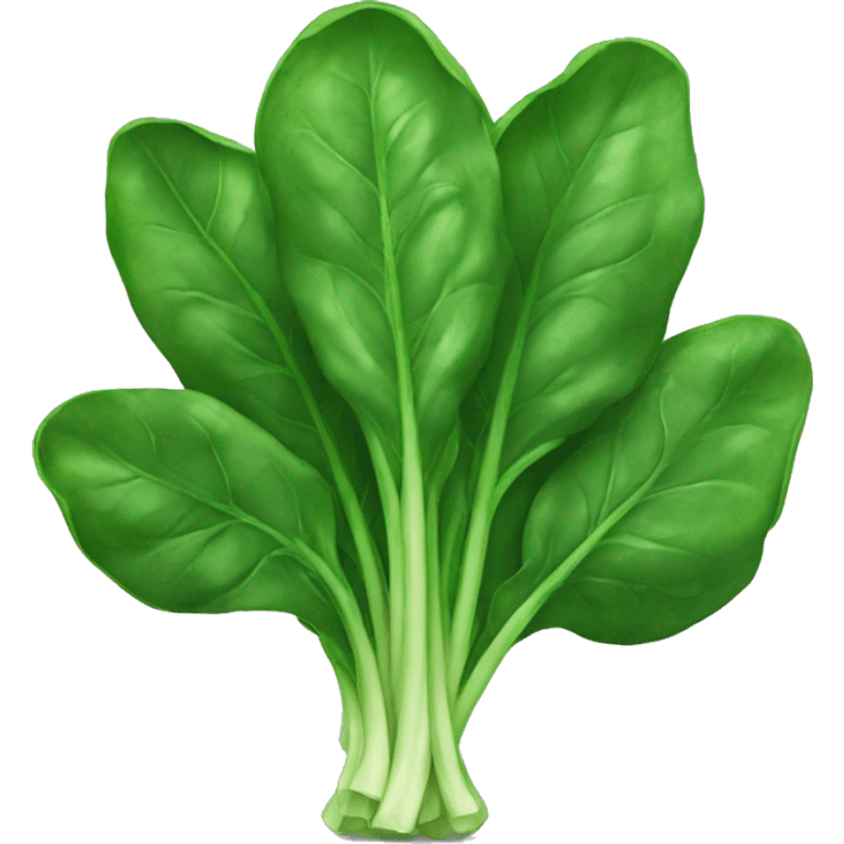 Spinach emoji