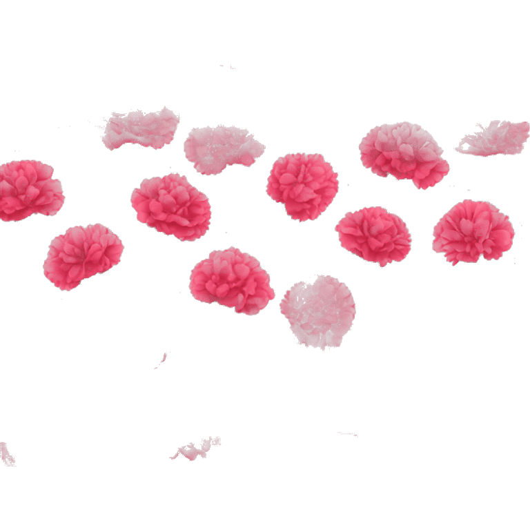 flower carnations emoji