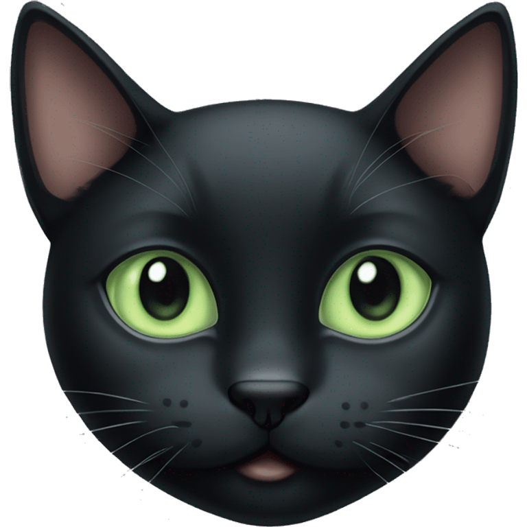 Cute black cat with pale green eyes  emoji