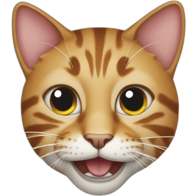 crazy cat emoji