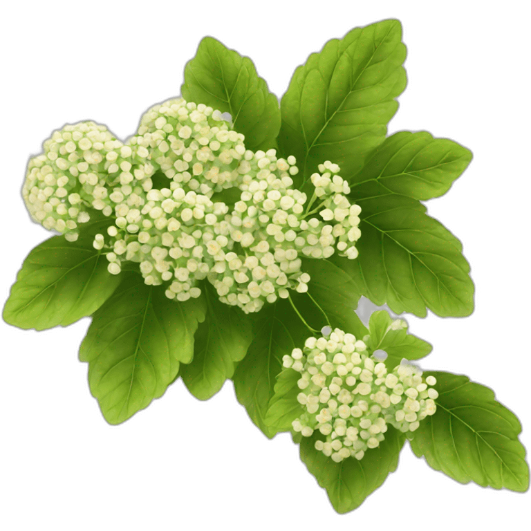 Ukraine, viburnum emoji