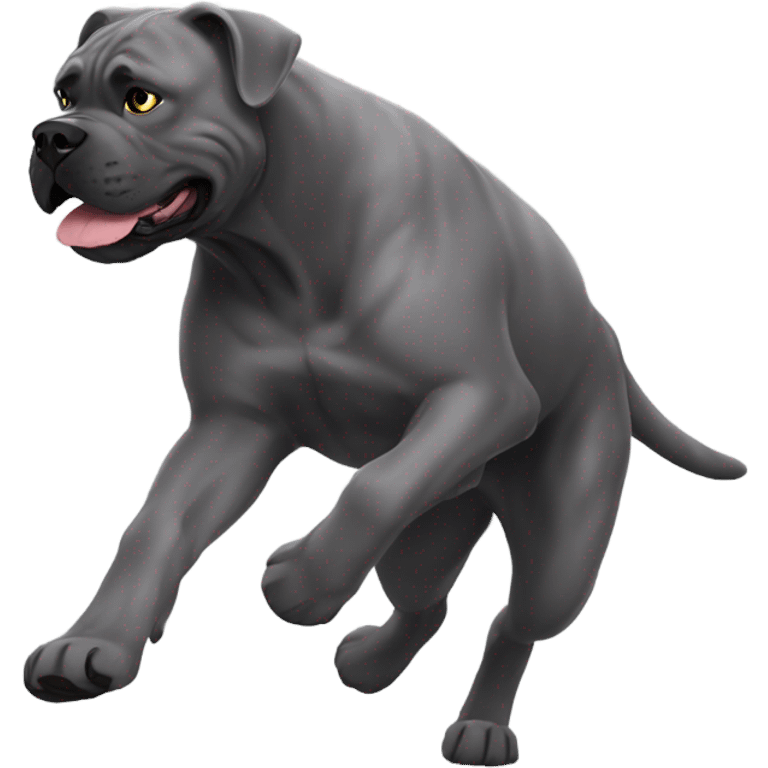 Grey Cane Corso chasing a cat. emoji