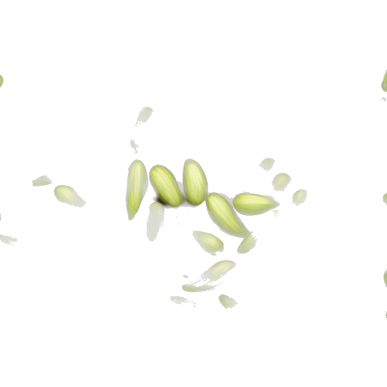 fennel seeds emoji