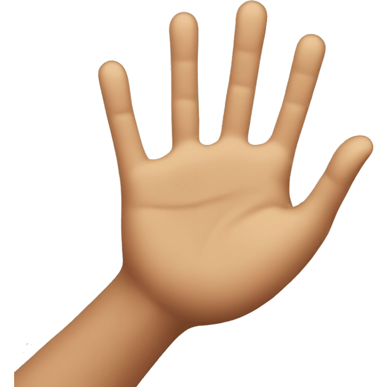 person holding hand up to say "stop" not friendly emoji