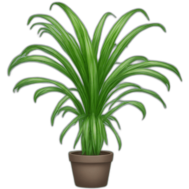 Spider plant emoji