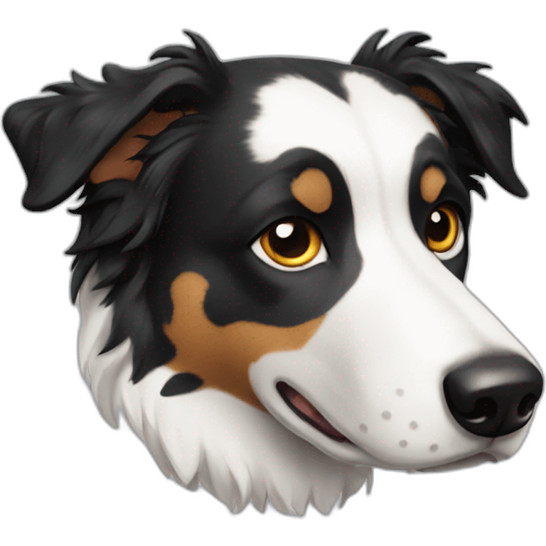 spotted-border-collie emoji