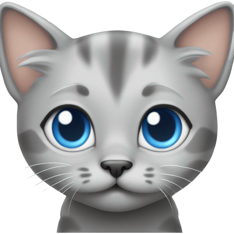 cute blue eyes grey kitten pooing  emoji