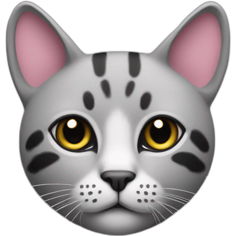 a gray beehive cat with a pink nose and black spots and no pattern all over emoji