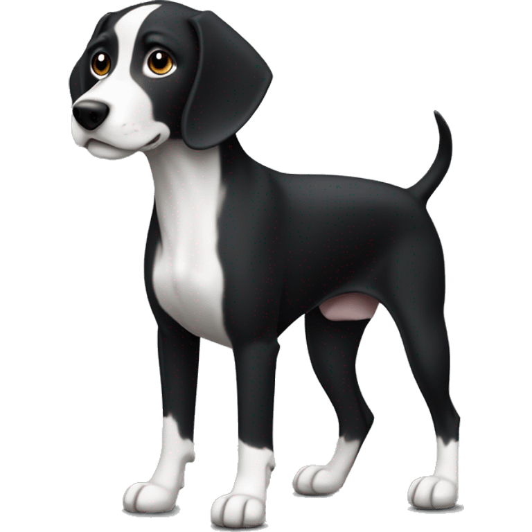 a sleek pointer dog with a dark black coat and white markings (white belly, feet, and tail tip). emoji