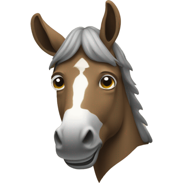 pessoa em cima de um burro emoji