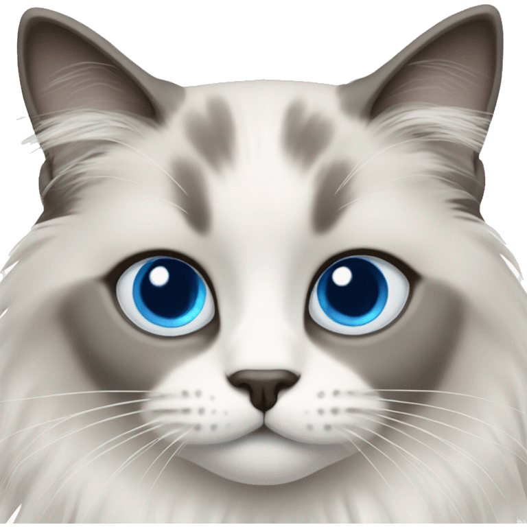 ragdoll cat, grey face, blue eyes, emoji