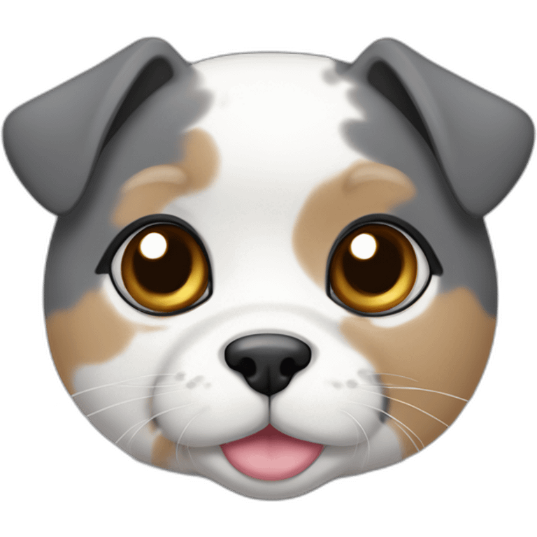 senior round diluted calico, white chin, black and pink nose, grey ears, grey and white emoji