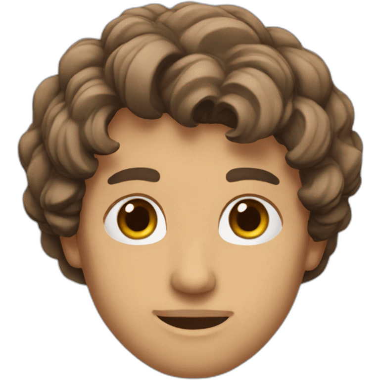 arnaud NAUDAN emoji