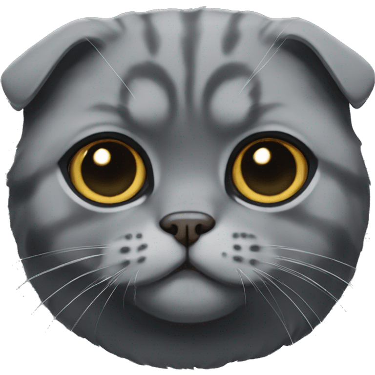 dark grey scottish fold emoji