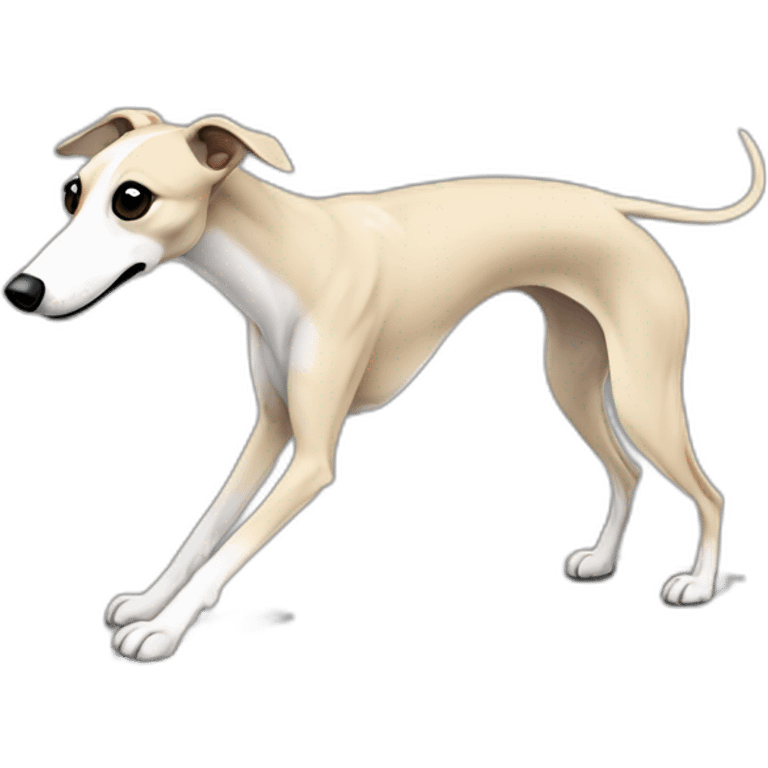 a beige whippet mid-walk, with a dark snout, black and white mouth patchy and black angel wing like eyes emoji