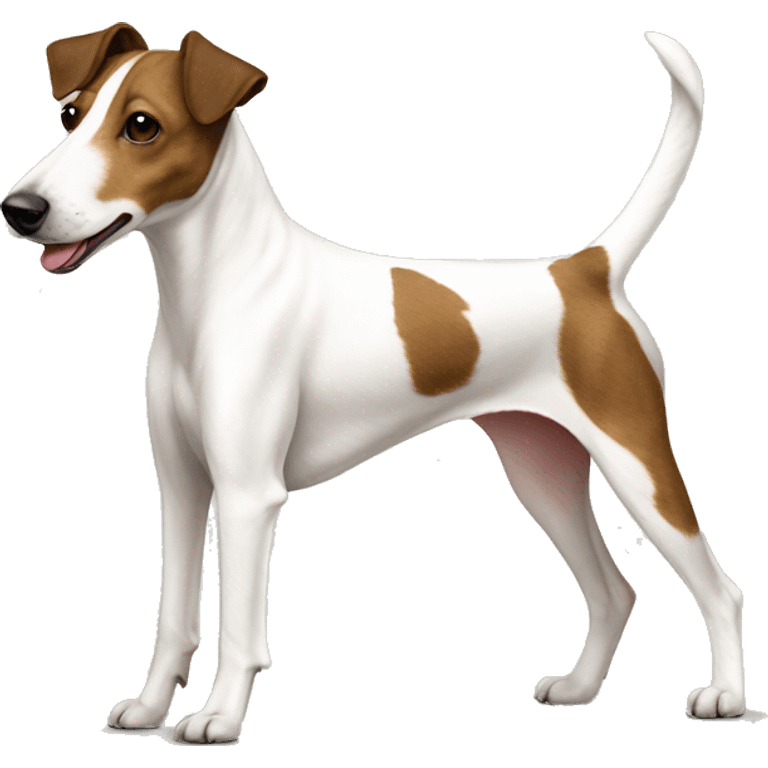 Old Smooth Fox Terrier white brown on back emoji