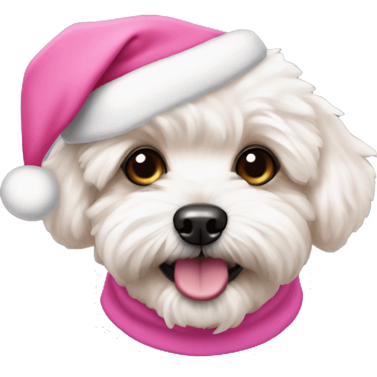 Maltipoo with a pink santa hat emoji