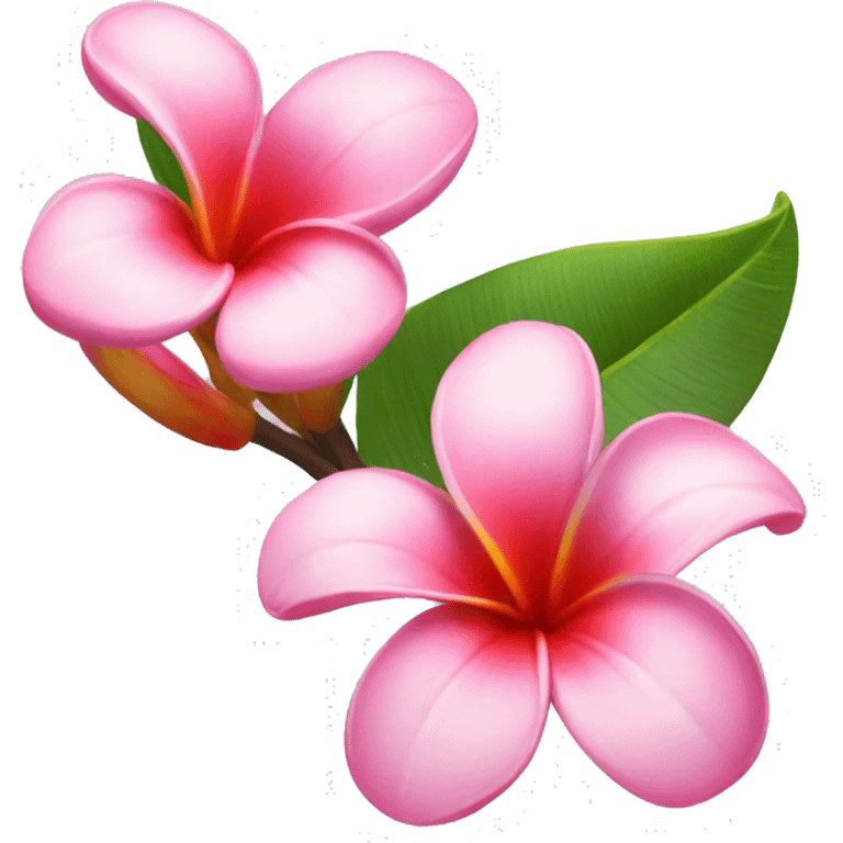 Fleur plumerias  emoji