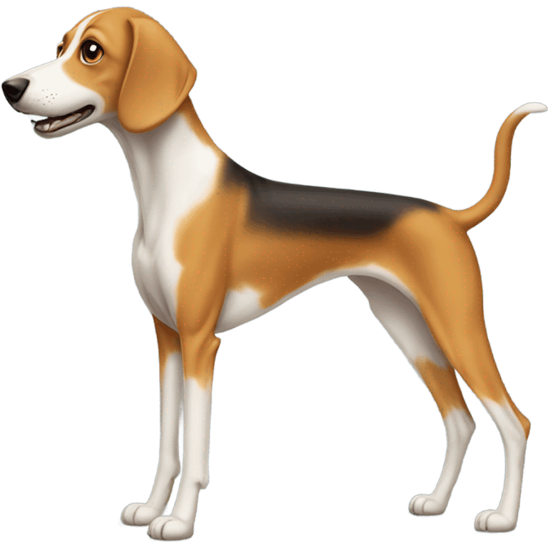 Dash hound with really long legs  emoji