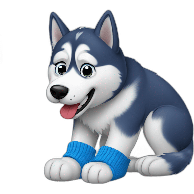 Confused husky biting a blue sock emoji